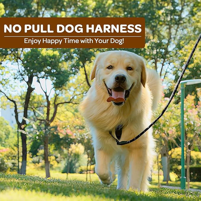 FURRYFECTION Plaid Dog Harness for Medium Dogs, Reflective No Pull Adjustable Pet Vest with Front Clip, Leash, Easy Control Handle and Seat Belt, Beige&White, M