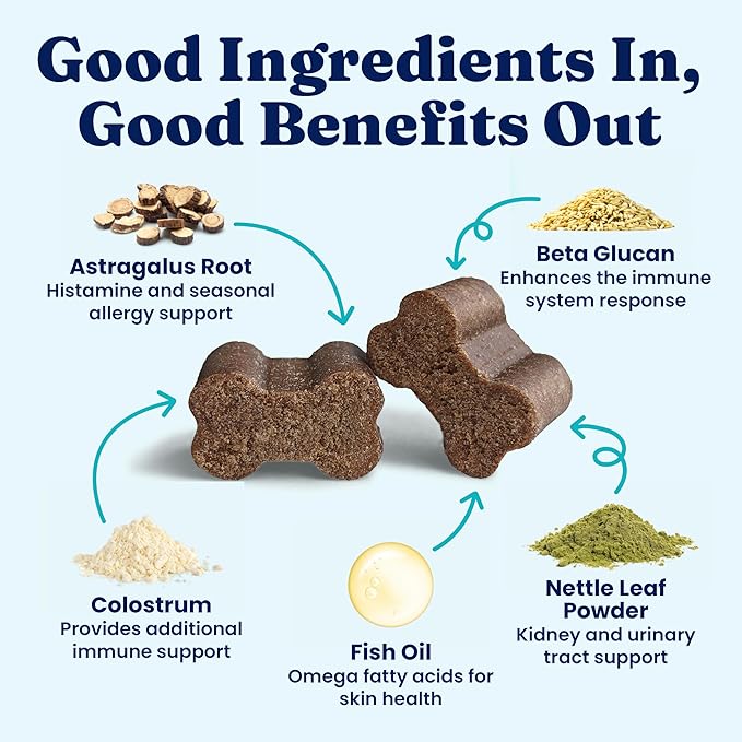 Solid Gold Dog Allergy Relief Chews - Dog Itching Skin Relief & Seasonal Allergies Support - Alaskan Salmon Oil for Dogs Skin, Coat & Immune Support - Bacon Flavor Soft Allergy Chews for Dogs - 60ct