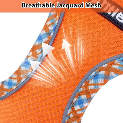 AIITLE Teacup Puppy Harness with Leash - Adjustable Soft Vest with Magic Tape & Reflective Safety Strips, Easy-Put-On for Poodles, Pomeranians - Gym, Hiking, Travel (Orange, S)