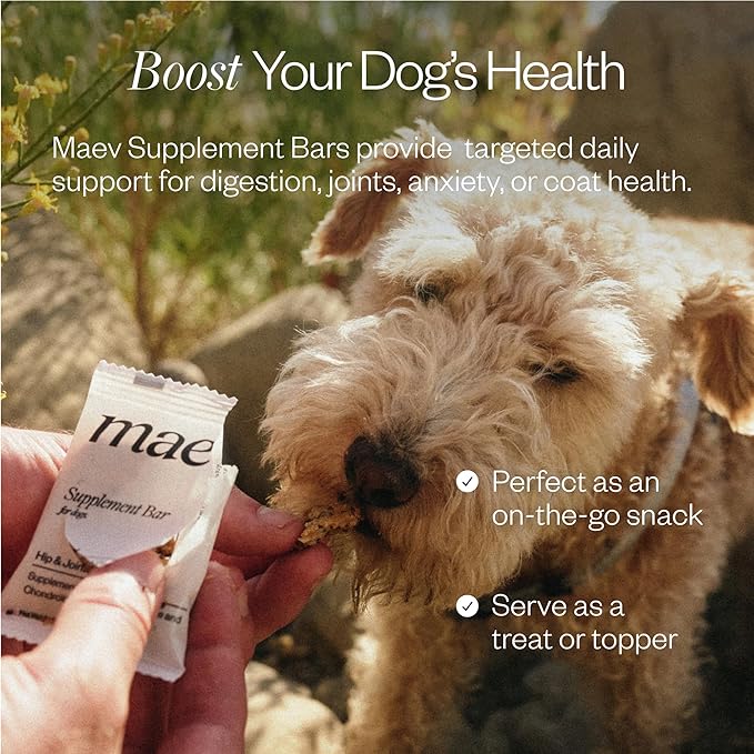 MAEV Human-Grade Skin & Coat Supplement Bars | Natural Support for a Healthy Skin & Coat, 30 Count (Pack of 2)