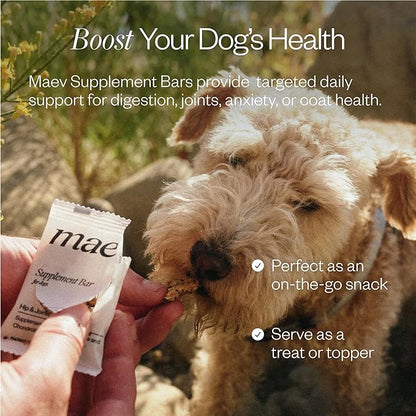 MAEV Human-Grade Skin & Coat Supplement Bars | Natural Support for a Healthy Skin & Coat, 30 Count (Pack of 2)