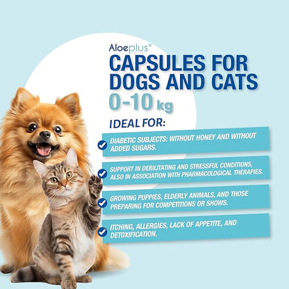 Cats & Dogs Capsules—an Energetic, detoxifying Supplement with Organic Aloe Arborescens. Supports Immunity for Puppies, Adult and Senior Pets, Helps Improve Appetite. 60 Capsules