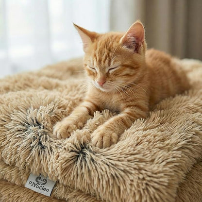 PJYuCien Dog Blanket for Dogs, Puppies and Pets, Lightweight & Portable Fluffy Fleece Throw, Super Soft Plush Cat Blanket for Couch/Car Seat/Furniture, Machine Washable, 16"x24", Beige