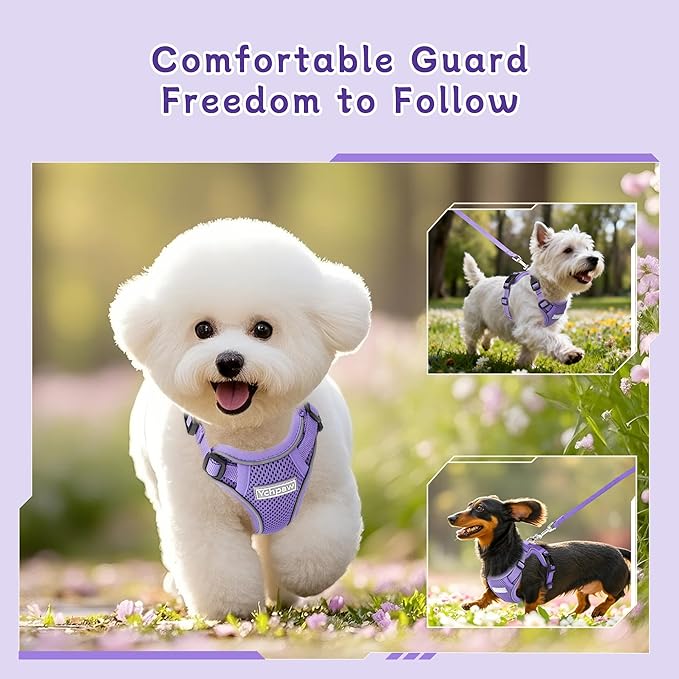 Small Dog Harness and Leash Set, Reflective Soft Breathable Mesh Vest, 3 Buckles, Adjustable Neck and Chest,Step in Dog Harness for Walking, Running, Training, Purple, XS