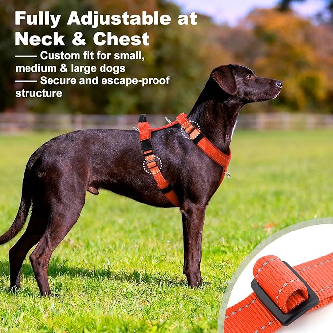 No Pull Dog Harness with Handle, Soft Mesh Padded Adjustable for Small Medium Large Dogs | Reflective Easy Walk Harness with Front Clip for Training, Running & Outdoor (Orange, XL)