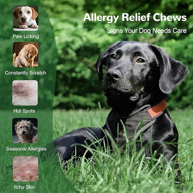 Dog Allergy Chews 150ct, Dog Itch Relief Chews for Large Dogs Paw Licking Itchy Skin Seasonal Allergies, Probiotics with Omega-3 Turmeric Astragalus for Coat Immune Supplement