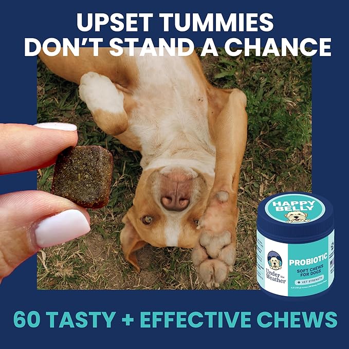 Under the Weather Probiotic Chews for Dogs | Daily Probiotics and Prebiotics for Digestive Health Gut | Balance and Immune Support | Vet Formulated Dog Digestive Supplement | Chicken Flavor | 60 Count