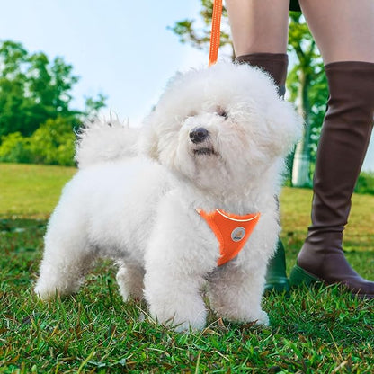 Hipubby Dog Harness and Leash Set, No Pull Soft Mesh Puppy Harness for Small Medium Dogs, Cats - Step in Reflective Breathable Lightweight Vest Harness for Walking, Training - Orange, M