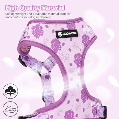 Dog Harness and Leash Set, Adjustable Dog Harness, Dog Leash, No Pull No Choke Puppy Harnesses for Walking Training for Small Medium Pet (Wines, M(Chest 15.7-22.1", Neck 12-15"))