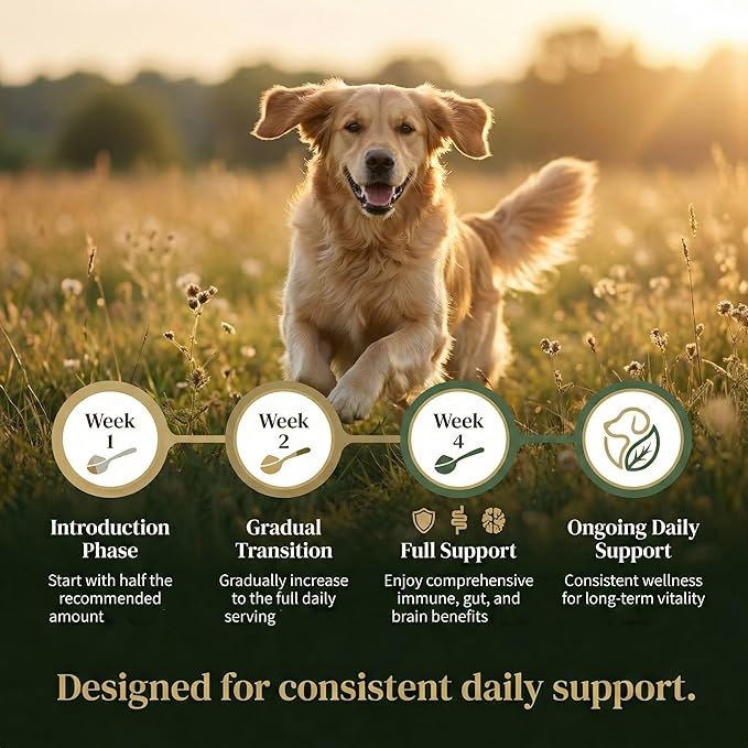 Turkey Tail Mushroom Powder for Dogs – Ultra 7-in-1 Mushroom Powder with Beta-Glucans, Immune, Digestive & Brain Support, Chicken Liver Flavor, Daily Supplement for Dogs-120g