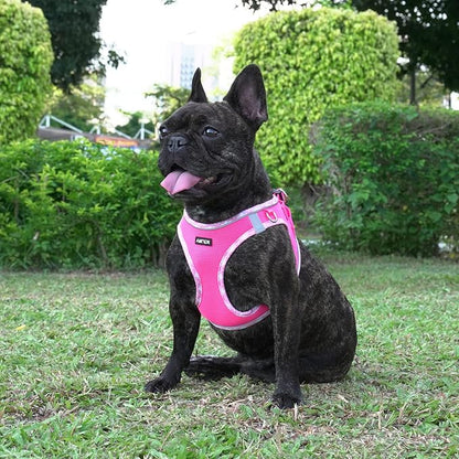 AMTOR Small Dog Harness with Leash Set, No Escape Easy Walk Puppy Harnesses for Training Walking, Step-in Reflective Soft Dogs Vest for XS S Medium Extra-Small Large Sized Dog(Fuchsia,L)