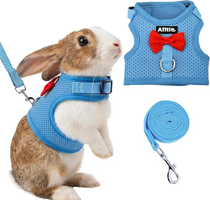 AIITLE Rabbit Harness and Leash Set with Cute Bow, Soft Breathable Mesh Vest Harness for Rabbits Kitten Ferret Puppy Small Pets Walking Supplies Blue L