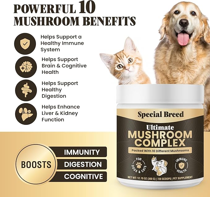 Mushroom Powder for Dogs & Cats - Organic Mushroom Complex for Immunity Support, Immune, Cognition, Vitality - Ten Mushroom Supplement with Turkey Tail, Lion's Mane, Reishi - 360 Gram (Pack of 2)
