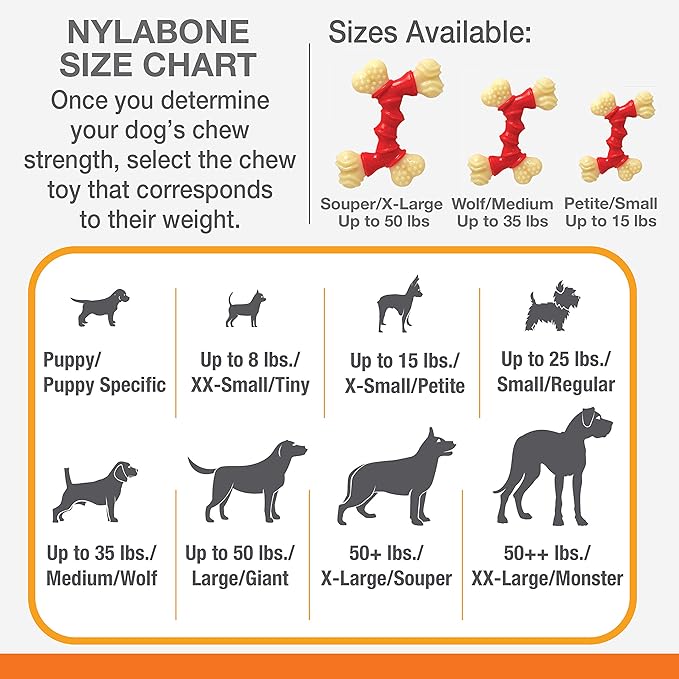 Nylabone Double Bone Power Chew Toy for Dogs, Dog Toys for Aggressive Chewers, Bacon Flavor, X-Small - Up to 15 lbs, 1 Count