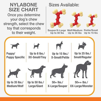 Nylabone Double Bone Power Chew Toy for Dogs, Dog Toys for Aggressive Chewers, Bacon Flavor, X-Small - Up to 15 lbs, 1 Count