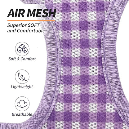 AIITLE Plaid Print Dog Harness Set – Lightweight, Reflective & Adjustable Vest Harness for Puppies – Perfect for Boston Terriers, Maltese & Indoor/Outdoor Use (XS, Purple)