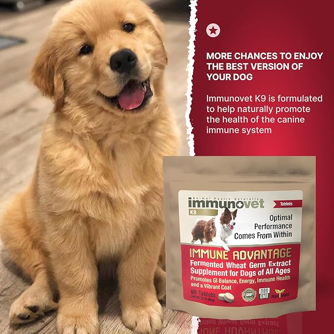 Plant Based Dog Supplement Tablets | Bio-Active Canine Nutritional Supplements Immune & GI Health Support | Veterinary Supplements Natural Fermented Wheat Germ Extract (FWGE) (Tablets)