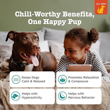 Zesty Paws Flavored Soft Chews - Calming for Dogs Anxiety Composure Relief with Ashwagandha Melatonin Chamomile Passionflower Dog Stress Separation Aid for Fireworks and Thunder 10 oz…