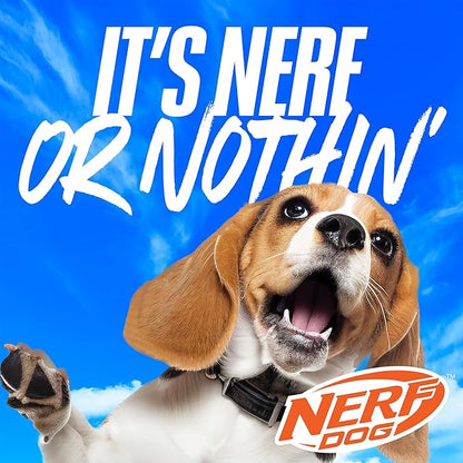 Nerf Dog Large Nylon Launching Duck/Blue/Green