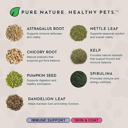 Animal Essentials Immuno-Thrive Wellness Powder for Dogs & Cats - All Natural Immune Support for Pets, Mushroom Blend, Promotes Healthy Skin & Coat, Life Extension Antioxidant Formula - 5.3 oz
