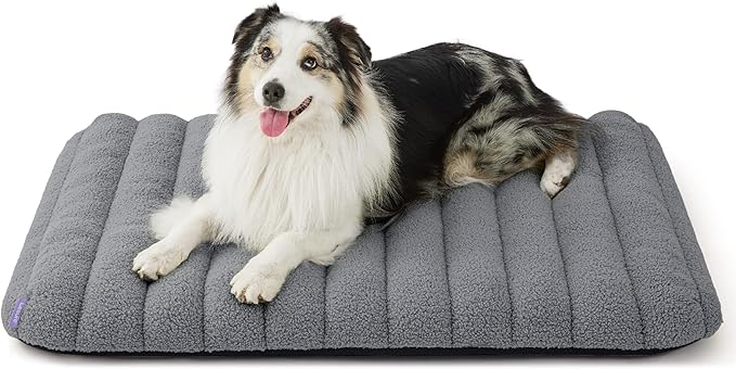 LE SURE Cute Orthopedic Dog Bed Large Sized Dog, Waterproof Chic Flat Pet Beds with Removable Washable Cover, Fuzzy Thick Egg Crate Foam Pet Mat for Indoor Use (36" x 27", Grey)