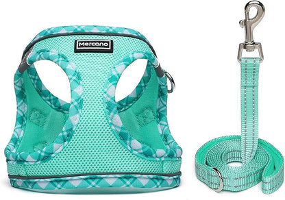 Mercano Soft Mesh Dog Harness and Leash Set, No-Chock Step-in Reflective Breathable Lightweight Easy Walk Vest Harnesses with Safety Buckle for Small Dogs, Cats (Light Green, S)