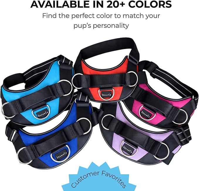 ShawnCo Essential Dog Harness, No-Pull Pet Vest with 3 Leash Clips, No Choke, Reflective, Adjustable and Padded, for Easy Walking and Training for Small, Medium and Large Dogs (Pacific Blue, XL)