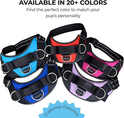 ShawnCo Essential Dog Harness, No-Pull Pet Vest with 3 Leash Clips, No Choke, Reflective, Adjustable and Padded, for Easy Walking and Training for Small, Medium and Large Dogs (Orchid, S)