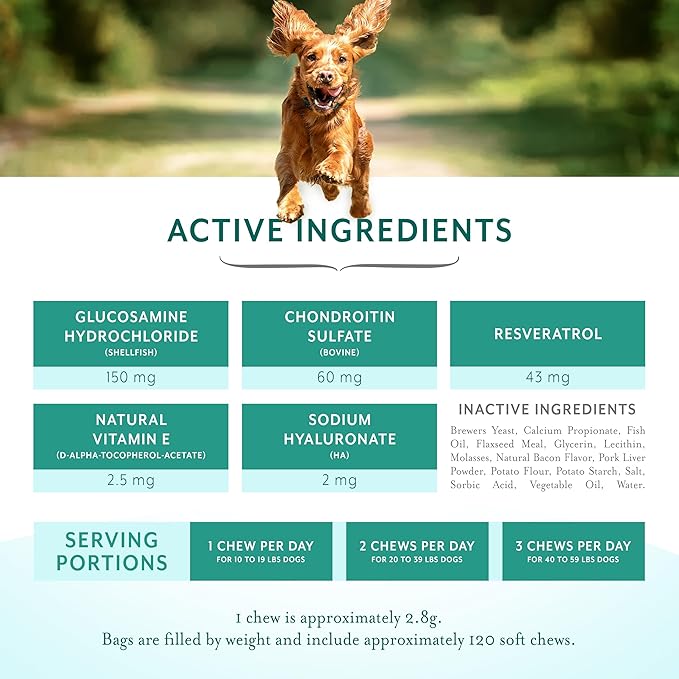 Dog Hip and Joint Support Supplement Soft Chews with Resveratrol, Glucosamine, Chondroitin, Hyaluronic Acid, Bacon Flavor, Small Breed