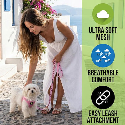 EcoBark Step in Dog Harness - Eco-Friendly Small Breed Dog Harnesses for XXS, XS, and Small Dogs - Reflective and Adjustable Mini Body Halter Vest - Tiny Soft Mesh Toy Breed Harness (Baby Pink, XS)