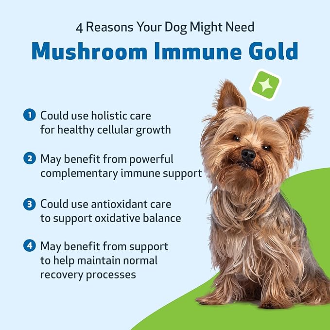 Pet Wellbeing Mushroom Immune Gold for Dogs - Complementary Immune Support with Functional Mushrooms Reishi, Maitake & Turkey Tail - NASC Certified & Vet-Formulated - 8 oz Liquid Formula