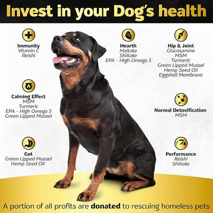 Soft Chews Hip and Joint Supplement for Dogs - Dog Joint Pain Relief Treats - Glucosamine, Chondroitin, Turmeric - Mobility Bites Supplement