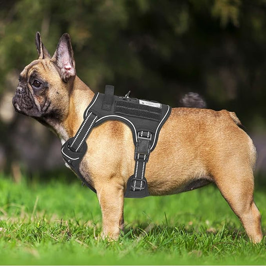 Beebiepet Heavy Duty Tactical Dog Harness for Small Dogs, No Pull Adjustable Pet Harness Reflective Service Training Easy Control Pet Vest Military K9 Working Dog Harnesses- Small, Black