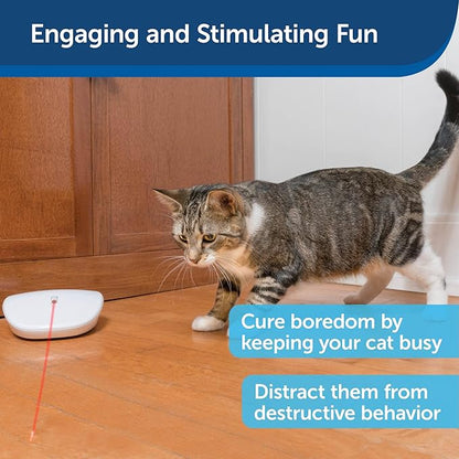 PetSafe Laser Tail Automatic Laser Light - Interactive Cat Toy - Encourages Exercise - Self-Propelling Motion Toy - Battery Operated - Safe for Cats - Hands Free Play