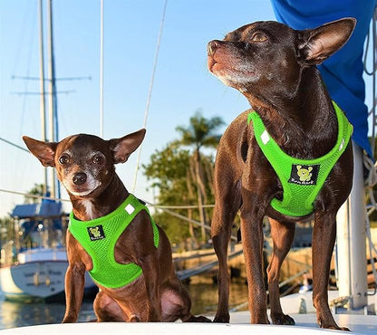 EcoBark Rapid Fastener Super Comfort Fully Adjustable Double Padded Step in Dog Harness (XXS, Green)