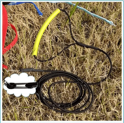 Pet Parrot Bird Harness Leash Adjustable Bird Flying Harness Traction Rope with Cute Wing for Parrots Pigeons Budgerigar Lovebird Cockatiel Mynah Outdoor Training Toy (M, Yellow)