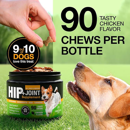 Glucosamine for Dogs – Hip and Joint Supplement Chews for Small, Medium & Large Dogs – Joint Pain & Mobility Support – Soft Chews for Pain and Inflammation Relief
