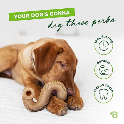 Benebone Tripe Bone Durable Dog Chew Toy for Aggressive Chewers, Real Tripe, Made in USA, Small