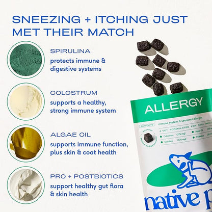 Native Pet Dog Allergy Chews - Dog Allergy Relief for Medium Breeds - Supports Seasonal Itch Relief, Healthy Immune Function & Reduces Sneezing - Colostrum, Spirulina, & Probiotics - 30 Days Supply