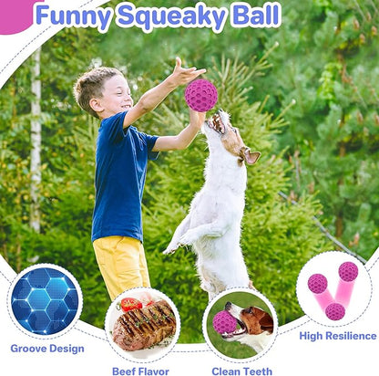 DISSKNIC Tough Squeaky Dog Balls Puppy Toys, Interactive Dog Toys for Small Dogs, Puppy Chew Toys for Teething and Relax, Dogs Chew Toy Small Balls Dog Toys for Small Breed, Outdoor Dog Toy for Dogs
