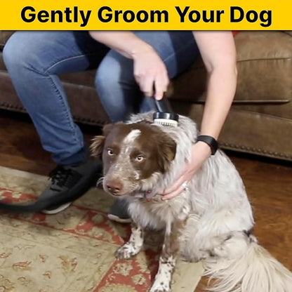 Shop-Vac 9190400 Dog Grooming Tool, 1.25 Inch Diameter, Soft Bristles for Gentle Pet Grooming and Vacuuming, (1-Pack)