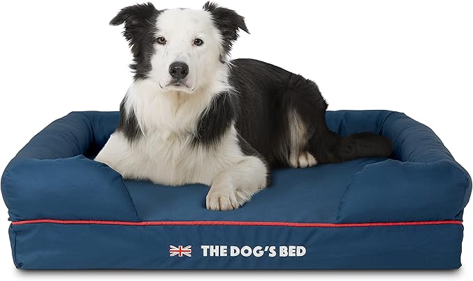 The Dog’s Bed Orthopedic Memory Foam Dog Bed with Bolsters for Large Dogs, High Density Support Mattress, Low Front Entry, Removable Washable Cover, Oxford Fabric, Blue with Dark Red Trim, Large