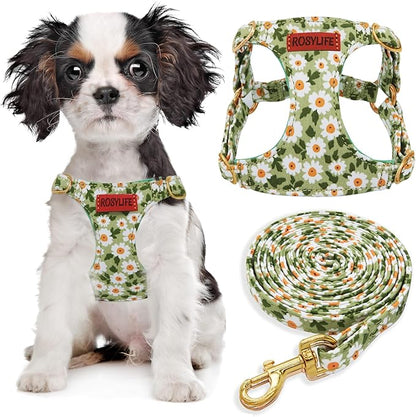 No Pull Dog Harness Adjustable Small Dog Harness and Leash Set, Lightweight and Soft Dog Harness No Choke Escape Proof Pet Harness Vest (Green Daisy, XX-Small)