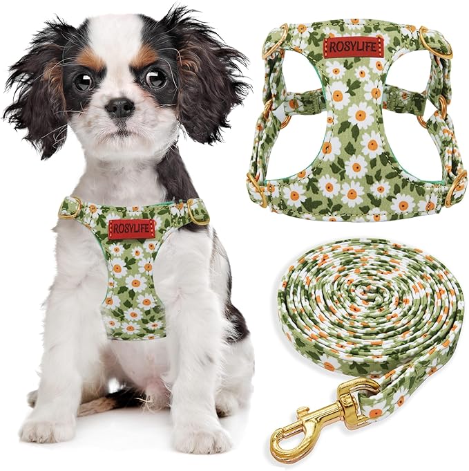 No Pull Dog Harness Adjustable Small Dog Harness and Leash Set, Lightweight and Soft, Green Daisy, XS
