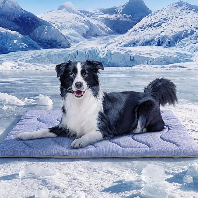 ASENKU Dog Cooling Mat, Portable & Durable Cooling Mat for Dogs, Anti-Slip Breathable Cooling Bed for Medium-Large Dogs 35–60 lbs (Husky, Bulldog, Border Collie), 36x28 inches, Blue Wave