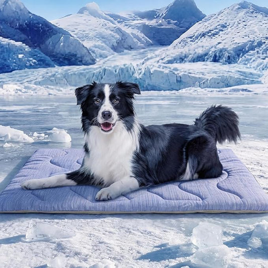 ASENKU Dog Cooling Mat, Portable & Durable Cooling Mat for Dogs, Anti-Slip Breathable Cooling Bed for Medium-Large Dogs 35–60 lbs (Husky, Bulldog, Border Collie), 36x28 inches, Blue Wave