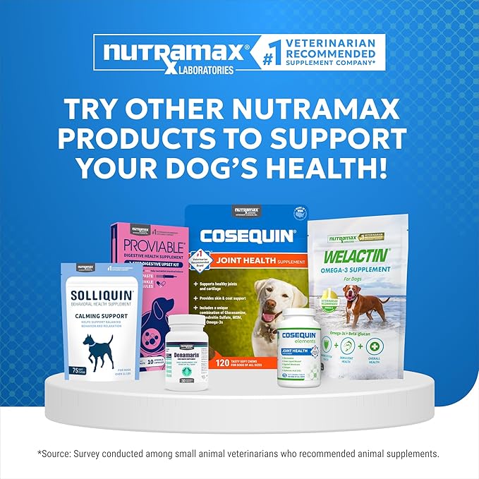 Nutramax Cosequin Elements Dogs Joint Health Supplement, Contains Glucosamine for Dogs, MSM, Supports Healthy Joints, for All Breeds and Sizes, Chewable Tablets, 75 Count (Pack of 2)