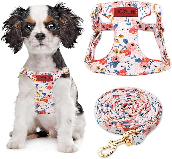 No Pull Dog Harness Adjustable Small Dog Harness and Leash Set, Lightweight and Soft Dog Harness No Choke Escape Proof Pet Harness Vest (Orange Rose, XS)