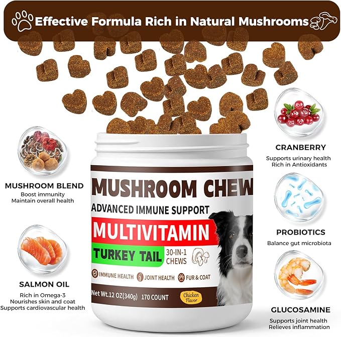 Turkey Tail Mushroom for Dogs, 170 Count Mushroom Chews for Dogs, Chicken Flavor Mushroom Supplements for Dogs, Immune Support, Joints Health, Skin & Coat, Lumps & Bumps Care Multivitamin