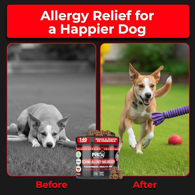 Pet Chef Dog Allergy Chews 140 Soft Chews with Salmon Oil, Omega 3 & Probiotics Natural Supplement for Itch Relief, Immune Support & Healthy Skin & Coat (Peanut Butter)